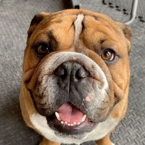 Meet your Posher, Sid